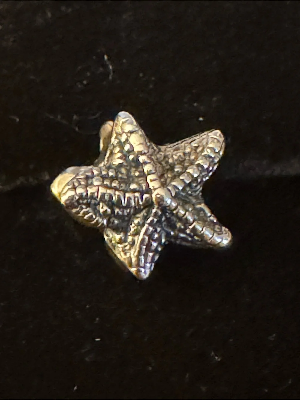 Chamilia Silver Starfish Brooch